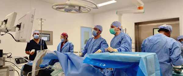 Bariatric Surgery Abu Dhabi